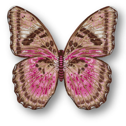 Pink Forrester Butterfly 6" through 12" - Stephen Wilson Studio