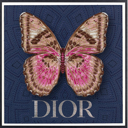 Pink Forrester Butterfly Framed - Stephen Wilson Studio
