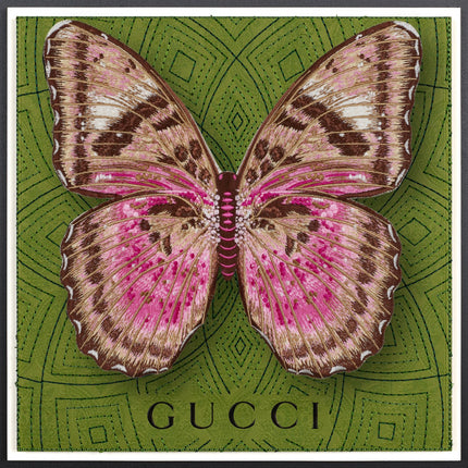 Pink Forrester Butterfly Framed - Stephen Wilson Studio