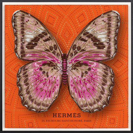 Pink Forrester Butterfly Framed - Stephen Wilson Studio