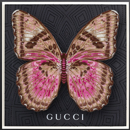 Pink Forrester Butterfly Framed - Stephen Wilson Studio