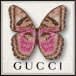 Gucci White