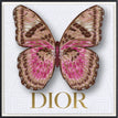 Dior White