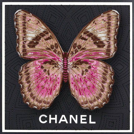 Pink Forrester Butterfly Framed - Stephen Wilson Studio