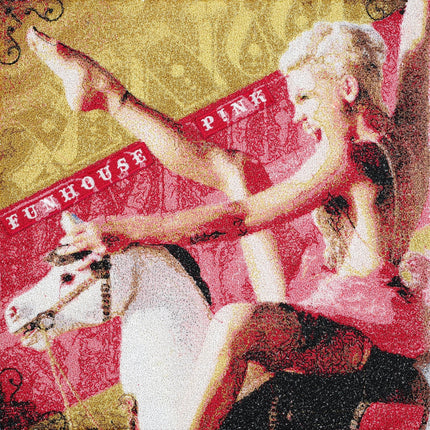 Pink, Funhouse - Stephen Wilson Studio