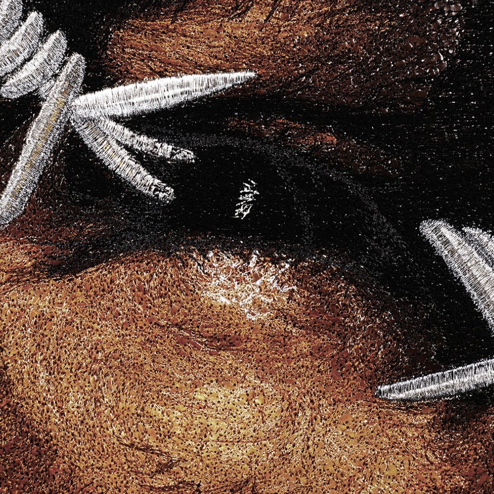 Post Malone, Beerbongs & Bentleys - Stephen Wilson Studio