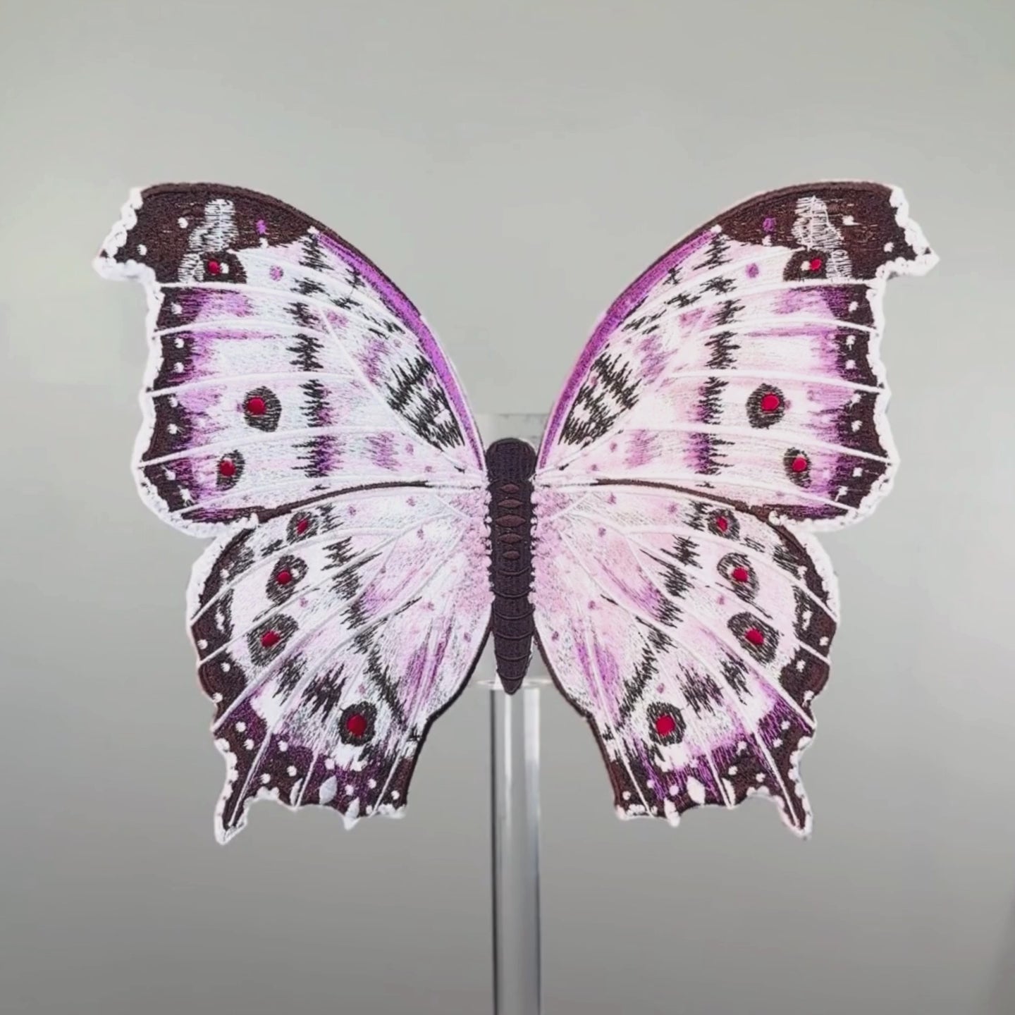 BUTTERFLIES IN THAILAND 全6巻セット BUTTERFLIES IN THAILAND 全6巻セット