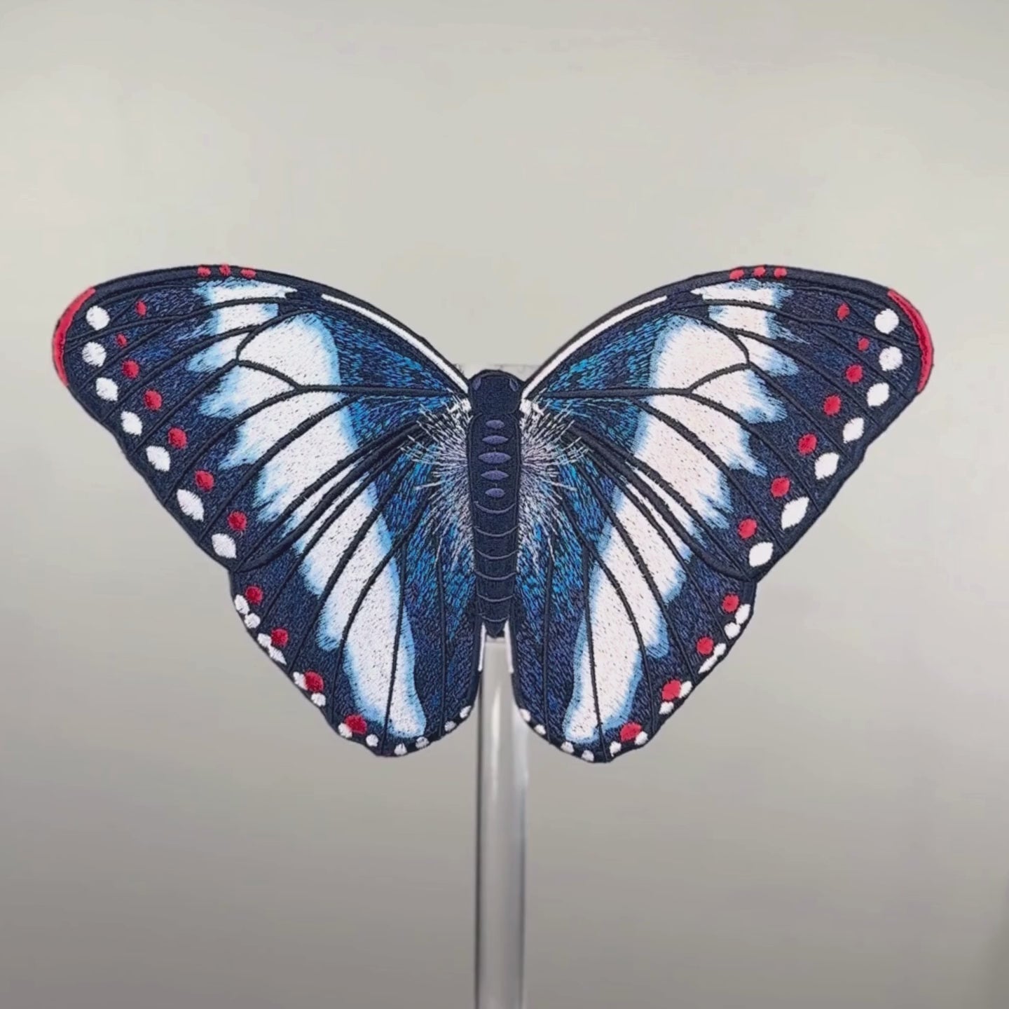 Load video: Blue Nowab Butterfly 6" through 12"