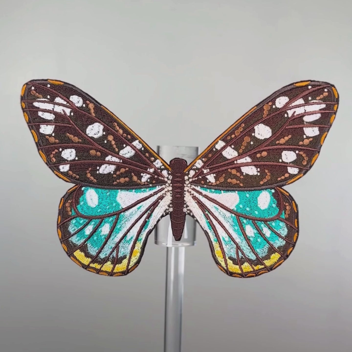 Load video: Saphis Butterfly 6&quot; through 12&quot;