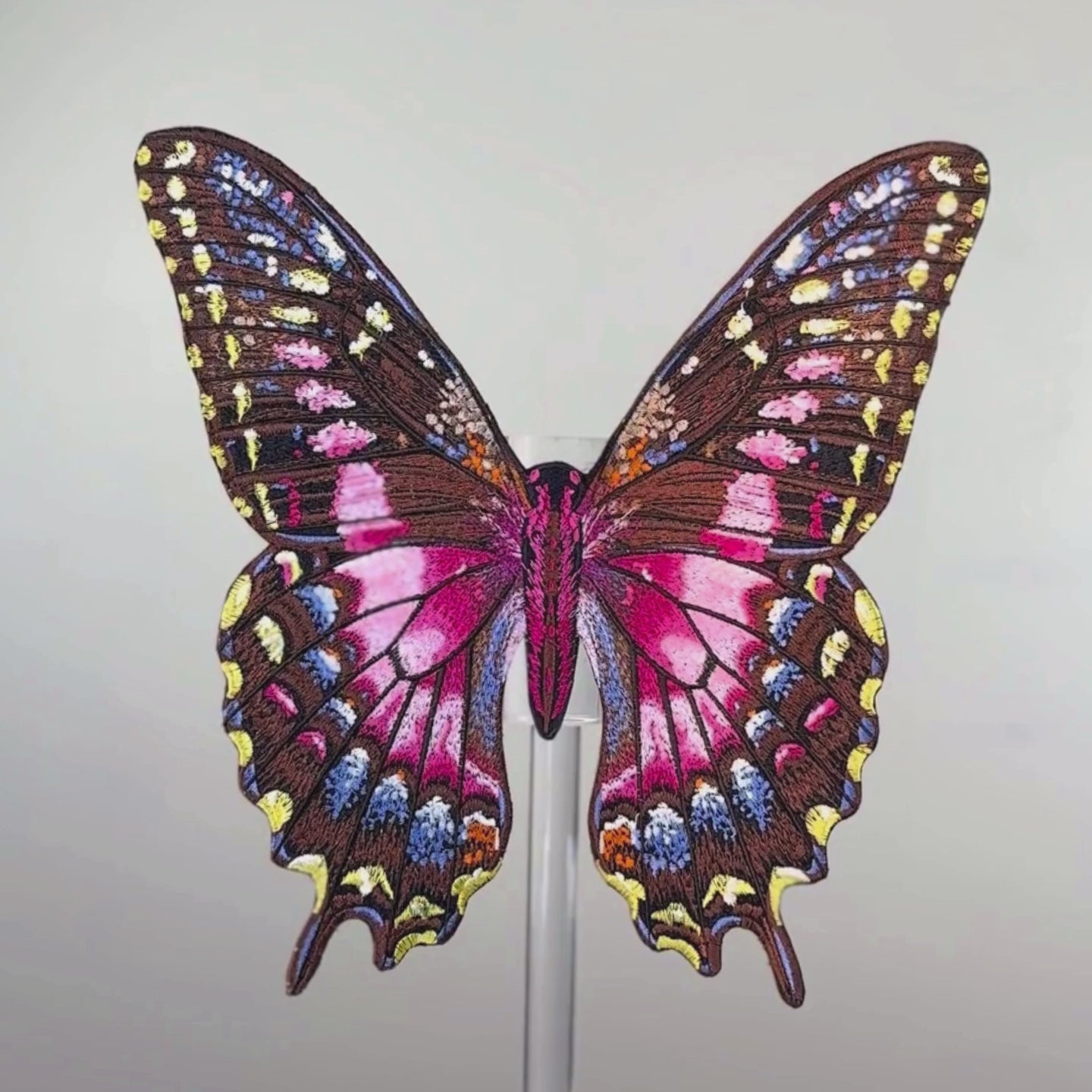 Purple Swallowtail Butterfly 6