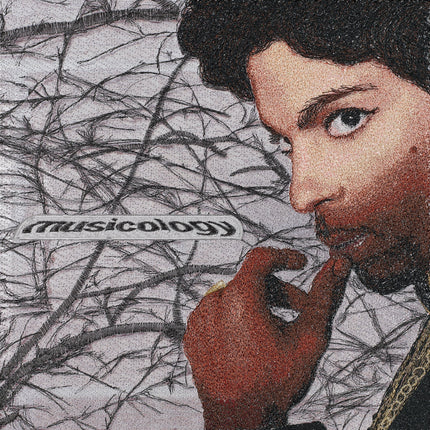 Prince, Musicology - Stephen Wilson Studio