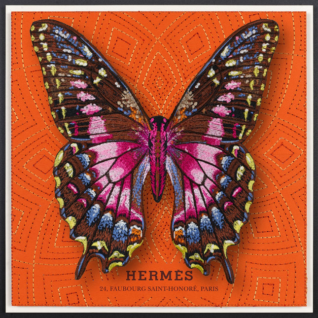 Purple Swallowtail Butterfly Framed - Stephen Wilson Studio