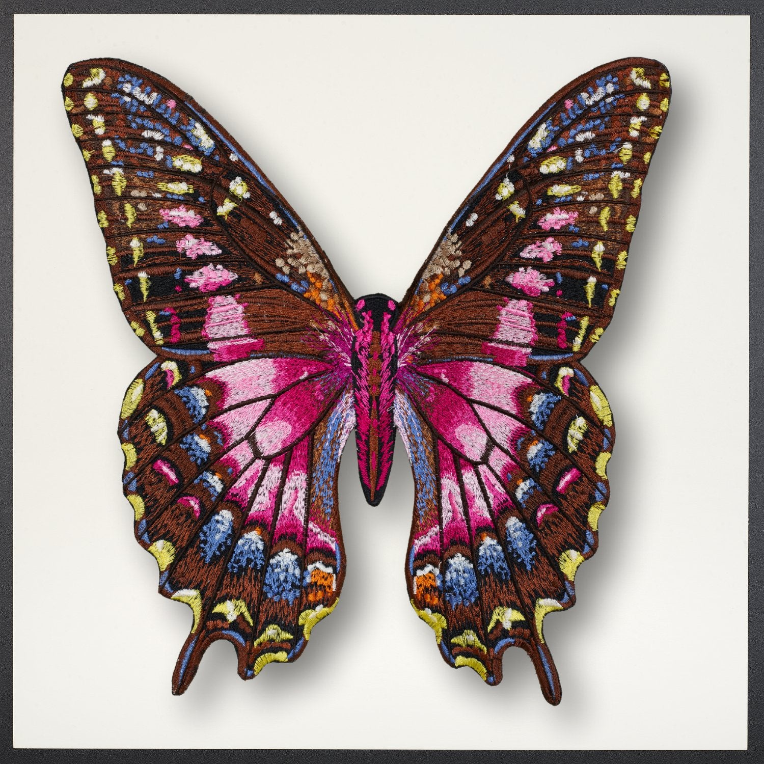 Purple Swallowtail Butterfly Framed - Stephen Wilson Studio