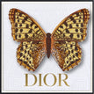 Dior White