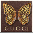 Gucci Brown