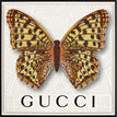 Gucci White