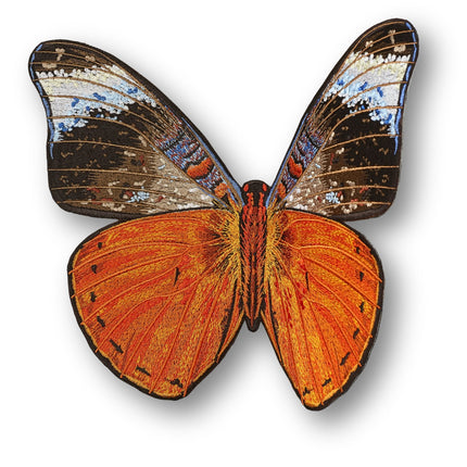 Red Flasher Butterfly 6" through 12" - Stephen Wilson Studio