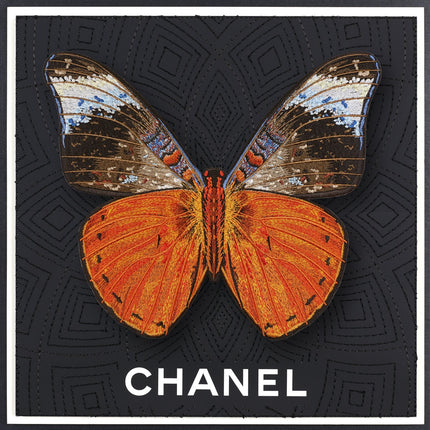 Red Flasher Butterfly Framed - Stephen Wilson Studio
