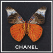 Chanel black