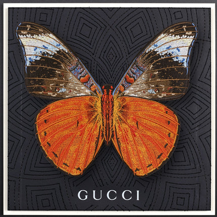 Red Flasher Butterfly Framed - Stephen Wilson Studio