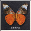 Gucci Black