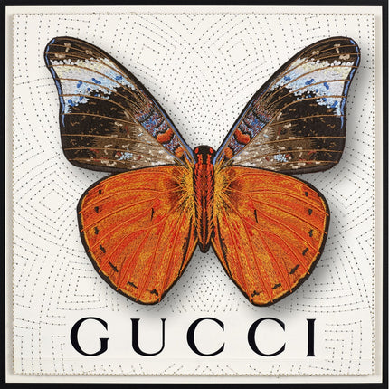 Red Flasher Butterfly Framed - Stephen Wilson Studio
