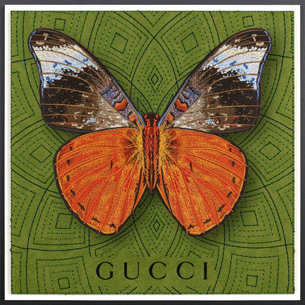 Red Flasher Butterfly Framed - Stephen Wilson Studio