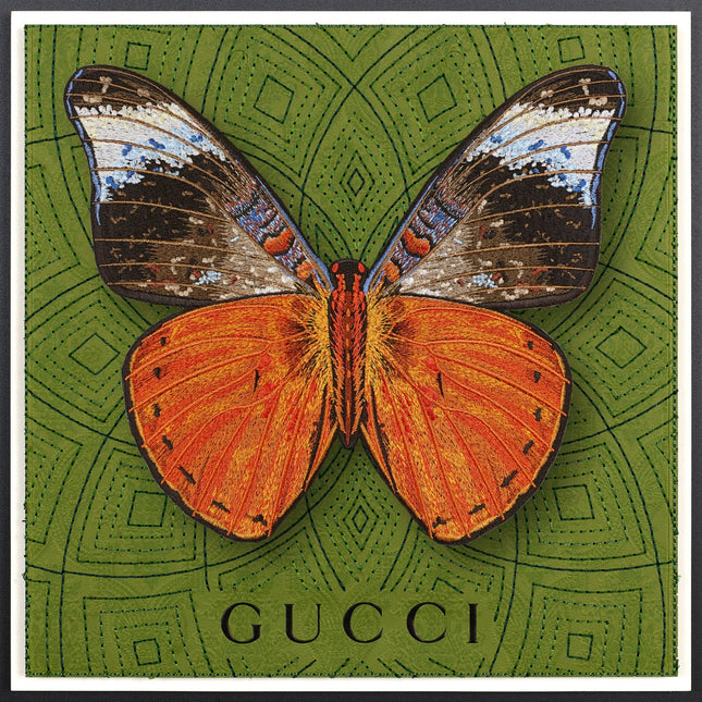 Red Flasher Butterfly Framed - Stephen Wilson Studio