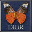 Dior Navy