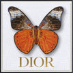 Dior White