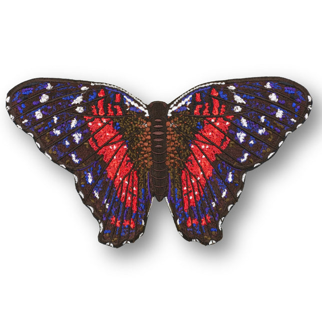 Scarlet Peacock Butterfly 6" through 12" - Stephen Wilson Studio