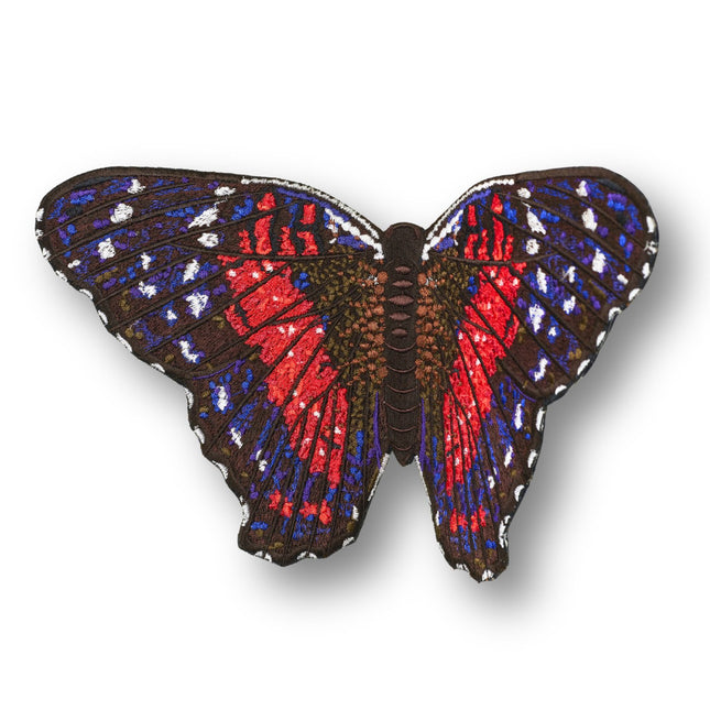 Scarlet Peacock Butterfly 6" through 12" - Stephen Wilson Studio