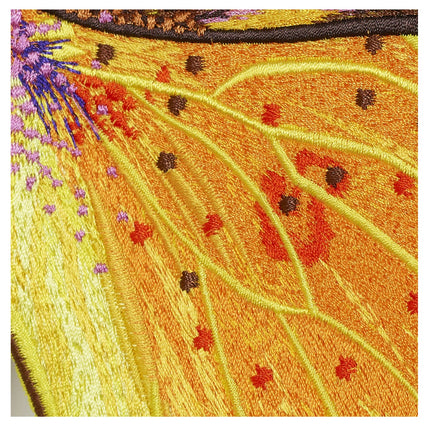 Southern Dogface Butterfly 6" through 12" - Stephen Wilson Studio