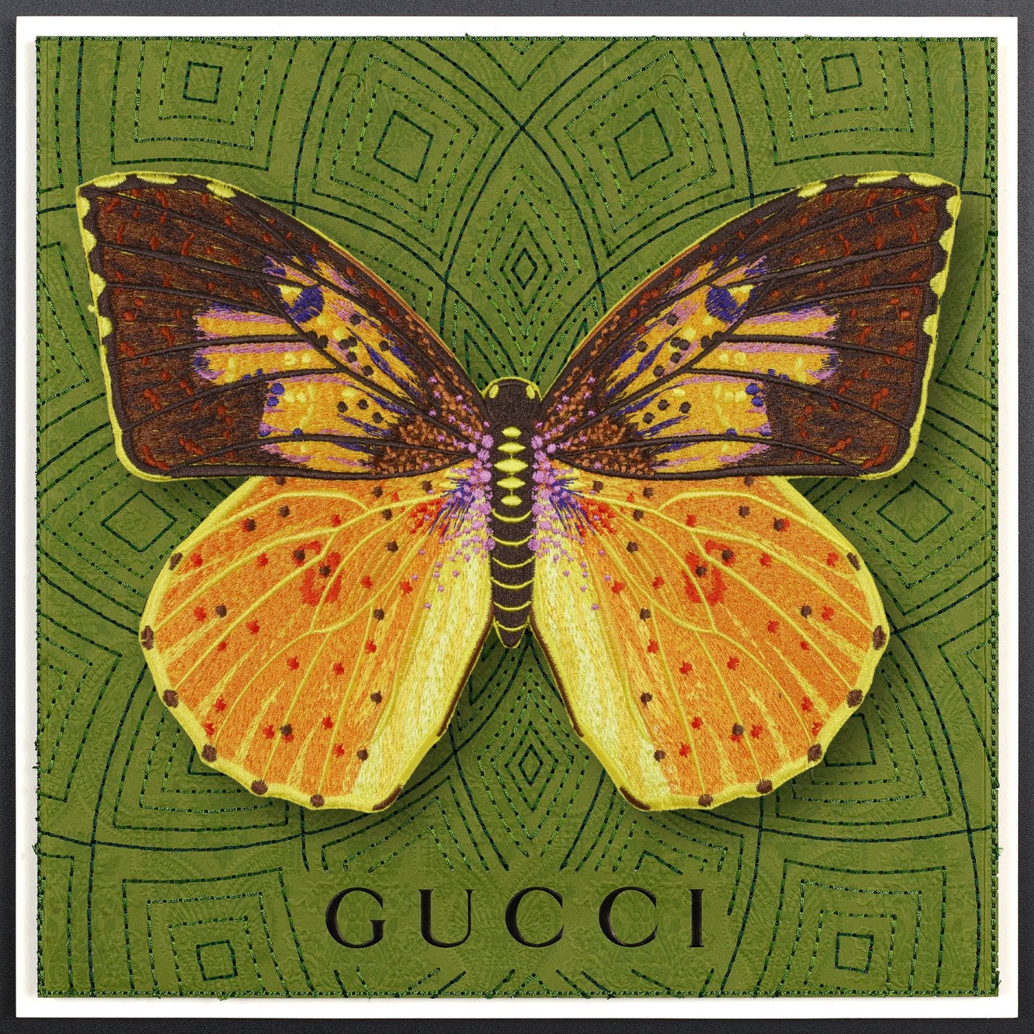 Southern Dogface Butterfly Framed - Stephen Wilson Studio