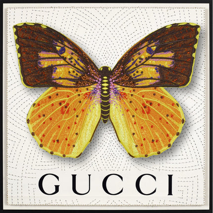 Southern Dogface Butterfly Framed - Stephen Wilson Studio