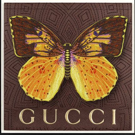 Southern Dogface Butterfly Framed - Stephen Wilson Studio