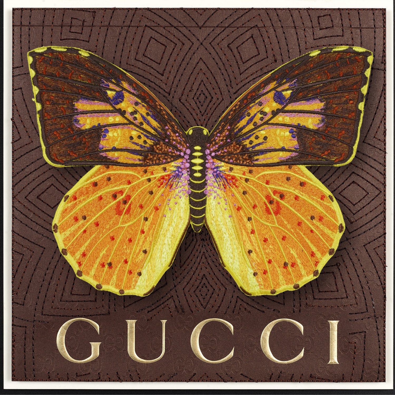 Southern Dogface Butterfly Framed - Stephen Wilson Studio