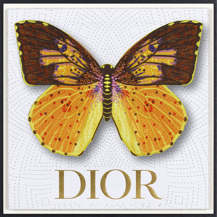Southern Dogface Butterfly Framed - Stephen Wilson Studio