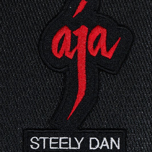Steely Dan, Aja - Stephen Wilson Studio