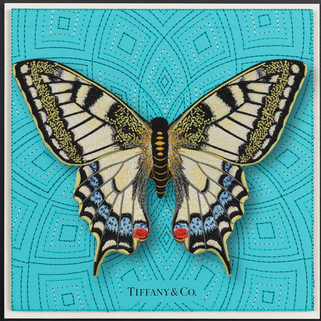 Swallowtail Butterfly Framed - Stephen Wilson Studio
