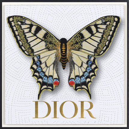 Swallowtail Butterfly Framed - Stephen Wilson Studio
