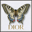 Dior White