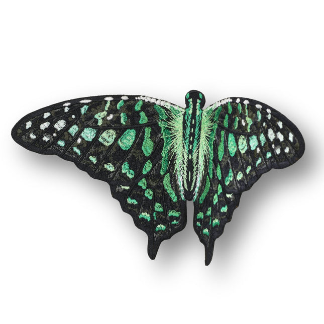 Tailed Jay Butterfly 6" through 12" - Stephen Wilson Studio