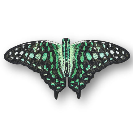 Tailed Jay Butterfly 6" through 12" - Stephen Wilson Studio