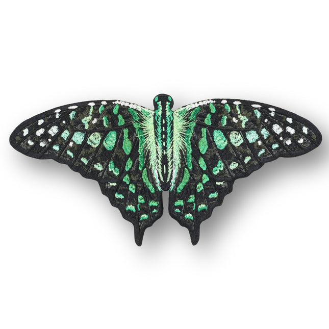 Tailed Jay Butterfly 6" through 12" - Stephen Wilson Studio