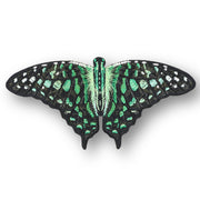 Tailed Jay Butterfly 6" through 12" - Stephen Wilson Studio