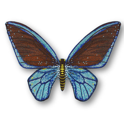 Ulysses Butterfly 6" through 12" - Stephen Wilson Studio