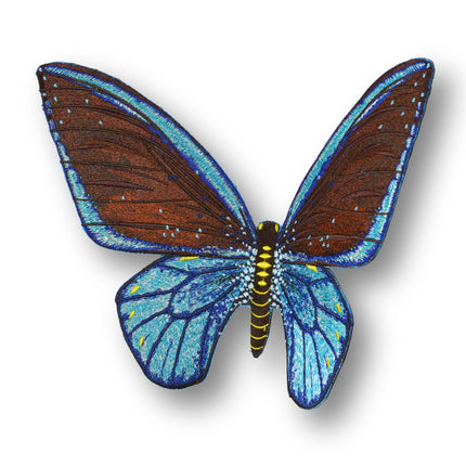Ulysses Butterfly 6" through 12" - Stephen Wilson Studio