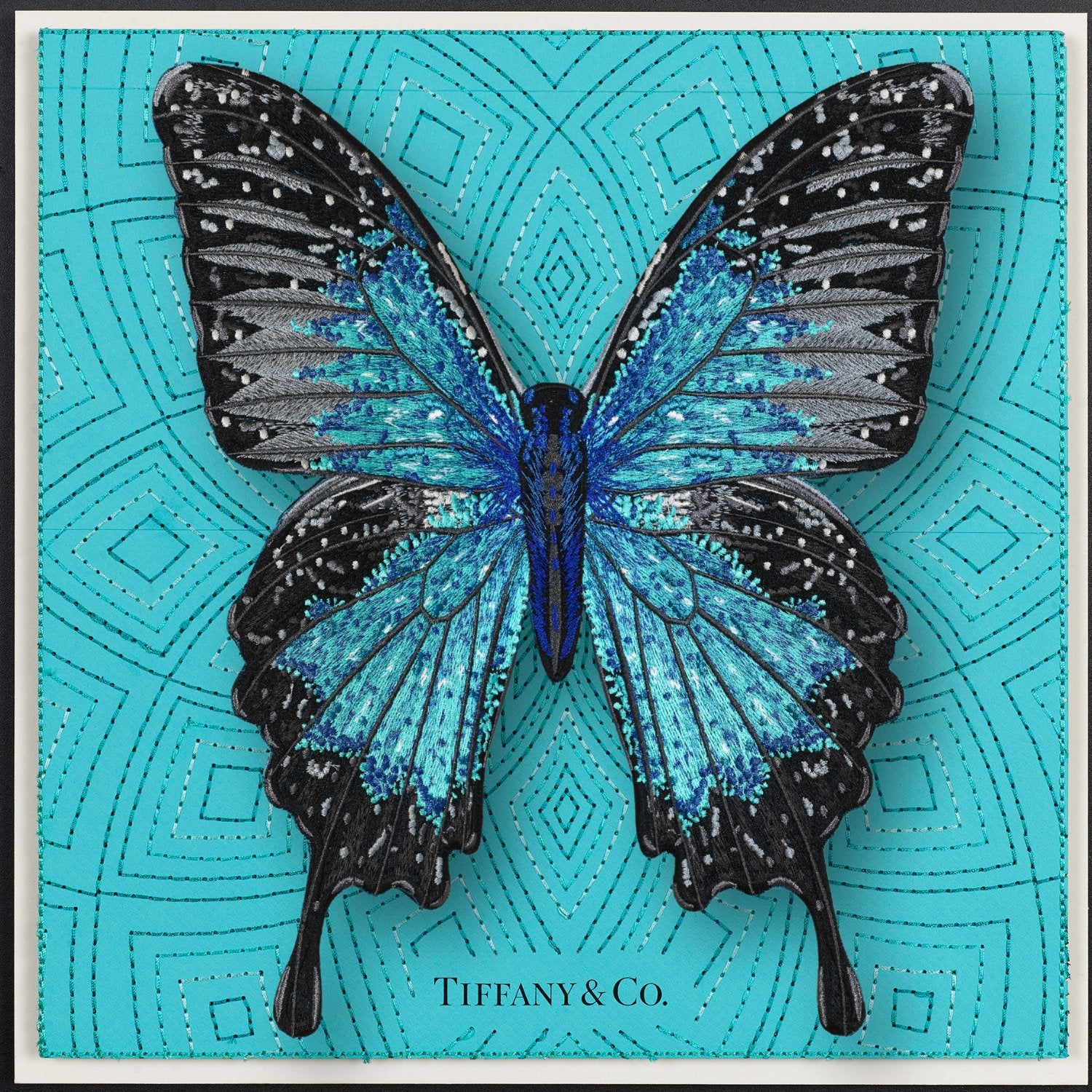 Ulysses Butterfly Framed - Stephen Wilson Studio