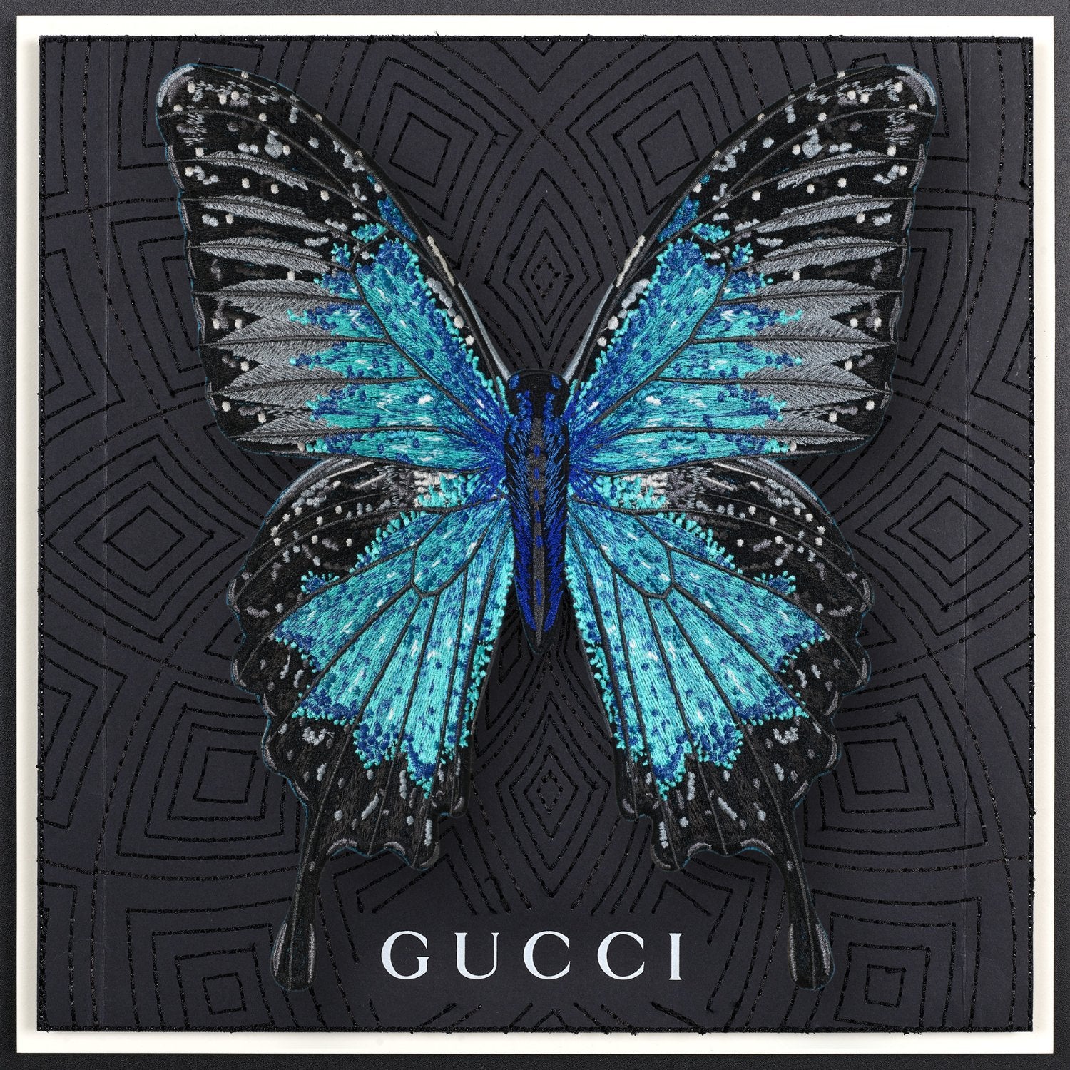 Ulysses Butterfly Framed - Stephen Wilson Studio